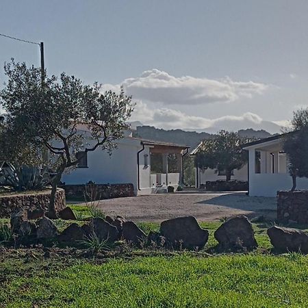 Agriturismo Sa Murta 도르갈리 외부 사진