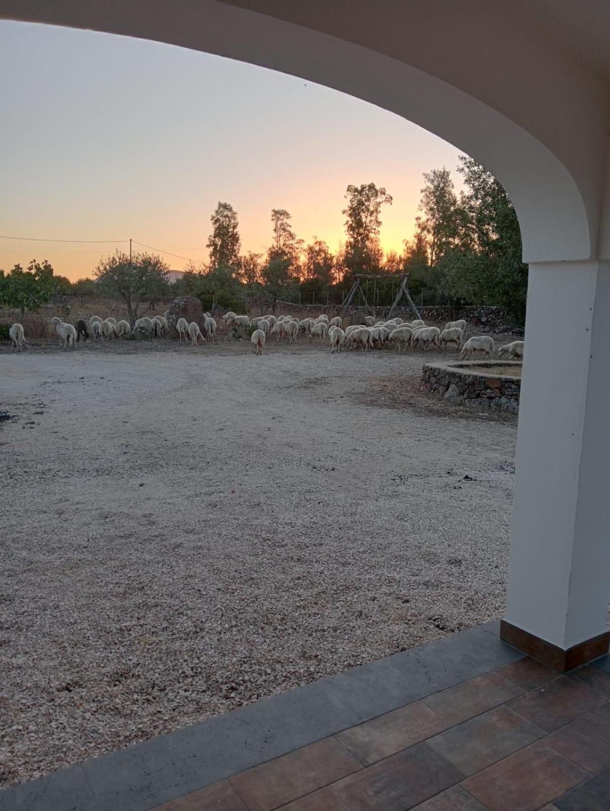 Agriturismo Sa Murta 도르갈리 외부 사진