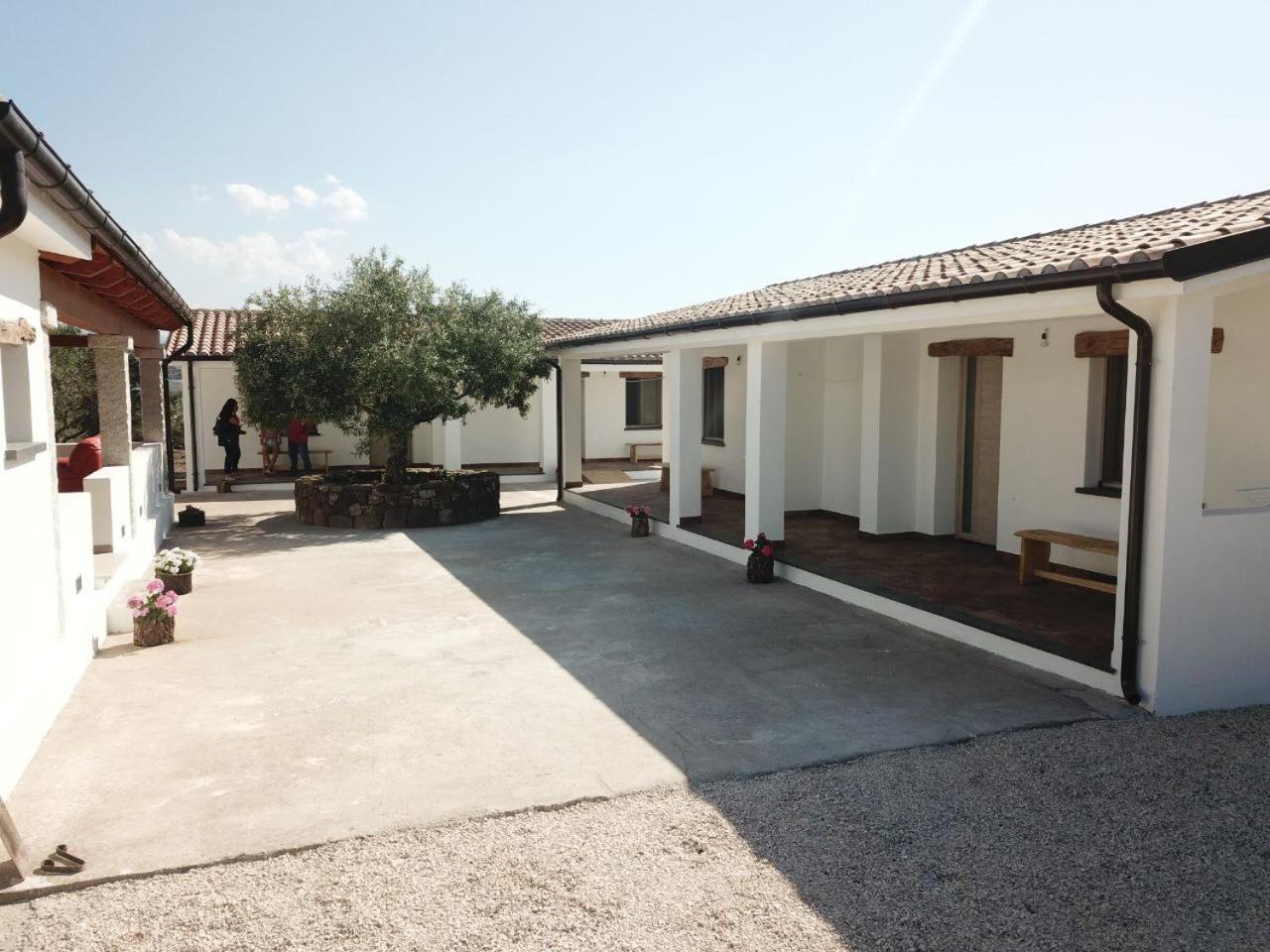Agriturismo Sa Murta 도르갈리 외부 사진