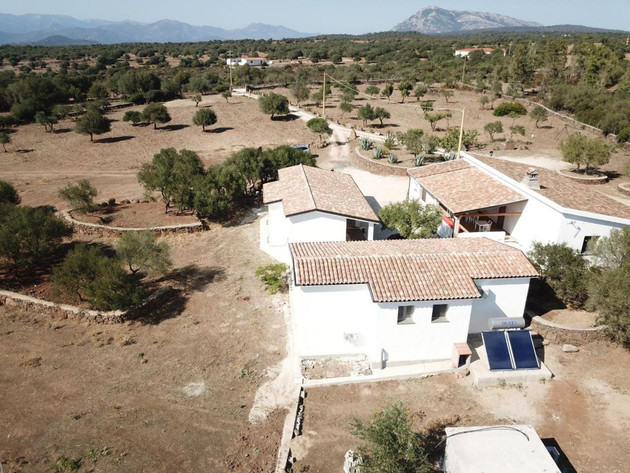 Agriturismo Sa Murta 도르갈리 외부 사진