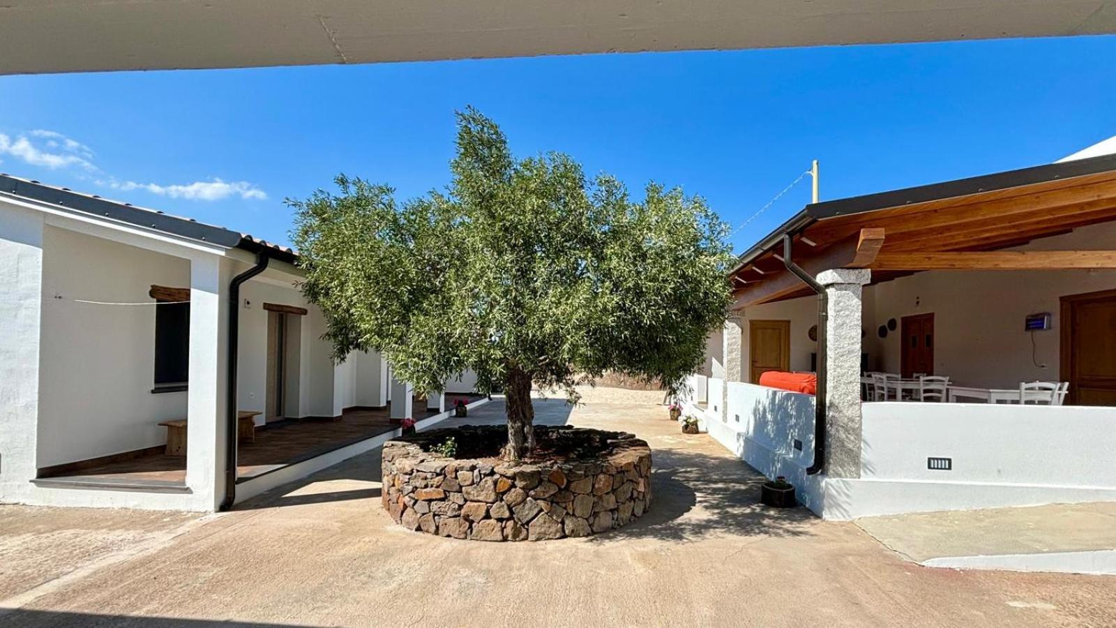 Agriturismo Sa Murta 도르갈리 외부 사진