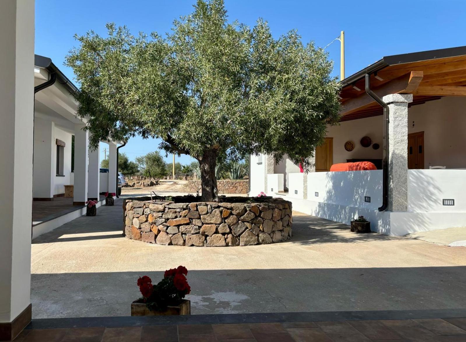 Agriturismo Sa Murta 도르갈리 외부 사진