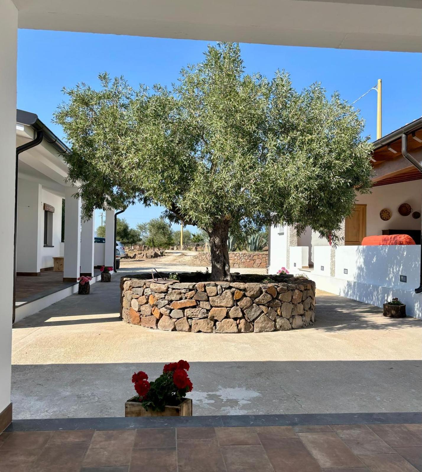 Agriturismo Sa Murta 도르갈리 외부 사진