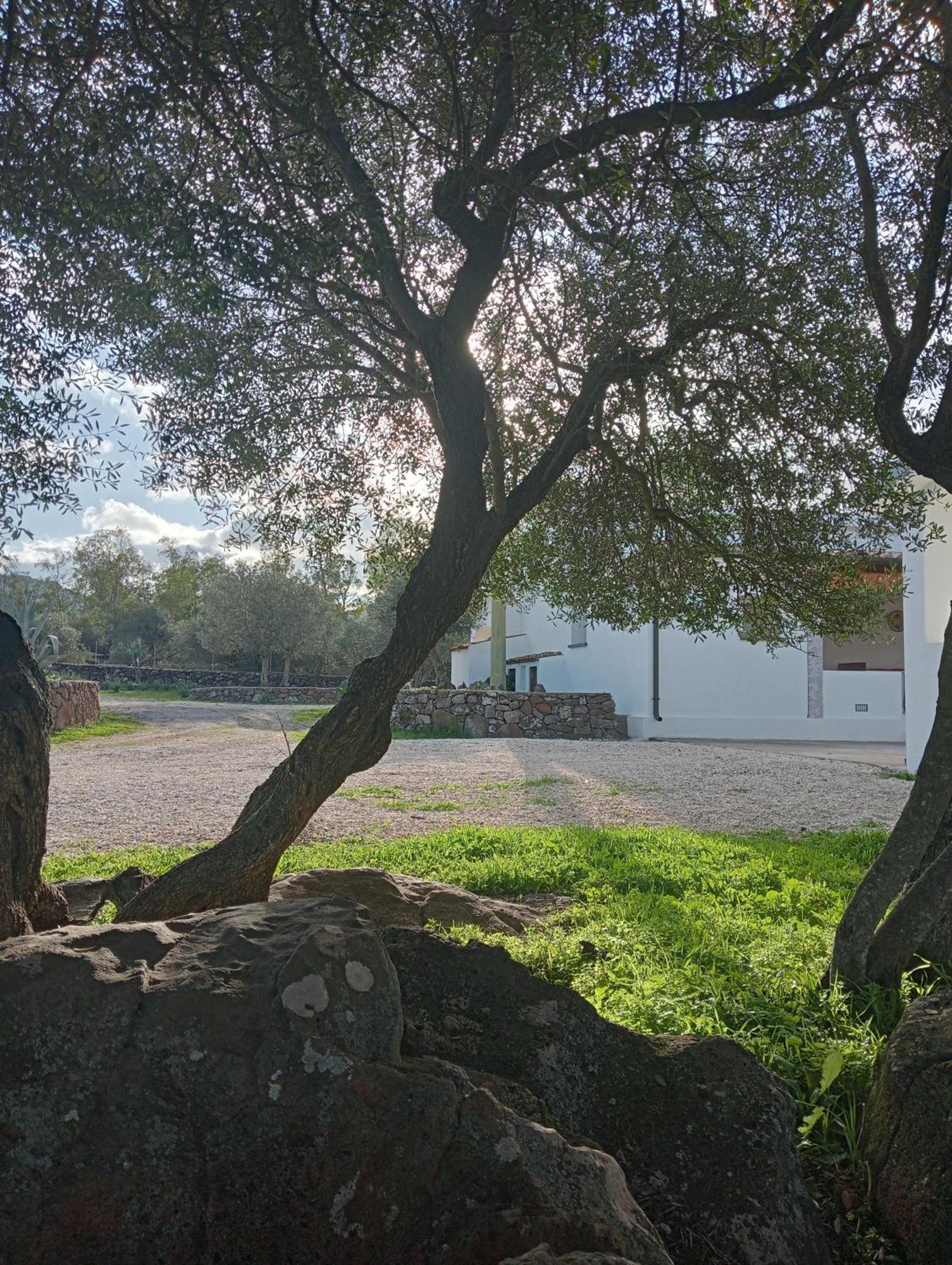Agriturismo Sa Murta 도르갈리 외부 사진