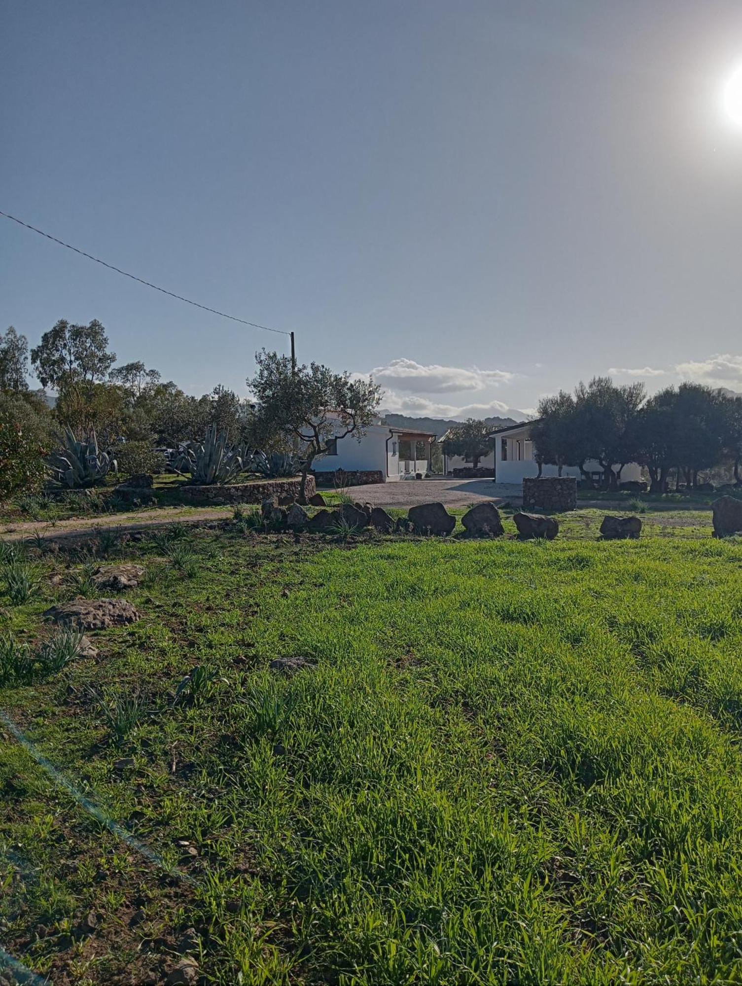 Agriturismo Sa Murta 도르갈리 외부 사진